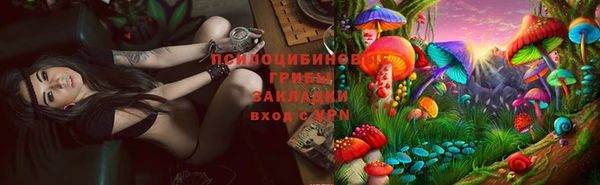 ешки Алексеевка