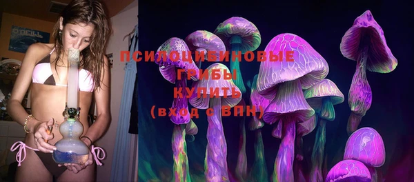 apvp Алексин
