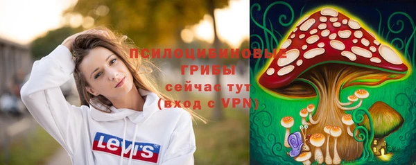 ешки Алексеевка