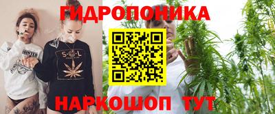 эйфоретик Гусь-Хрустальный