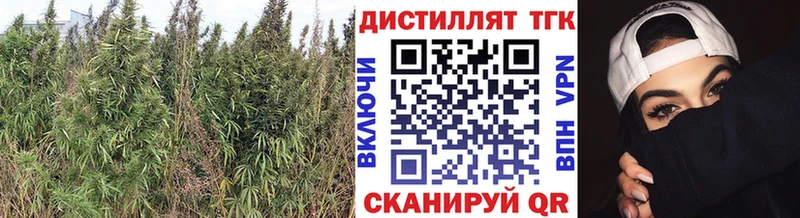 Дистиллят ТГК THC oil  наркота  Мичуринск 