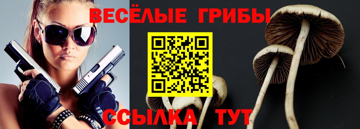 Псилоцибиновые грибы Cubensis Мичуринск